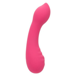 Calexotics - Pixies Teaser Rose